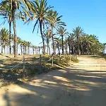 Flamingo Торевьиа
