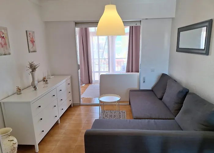 Appartement Flamingo *