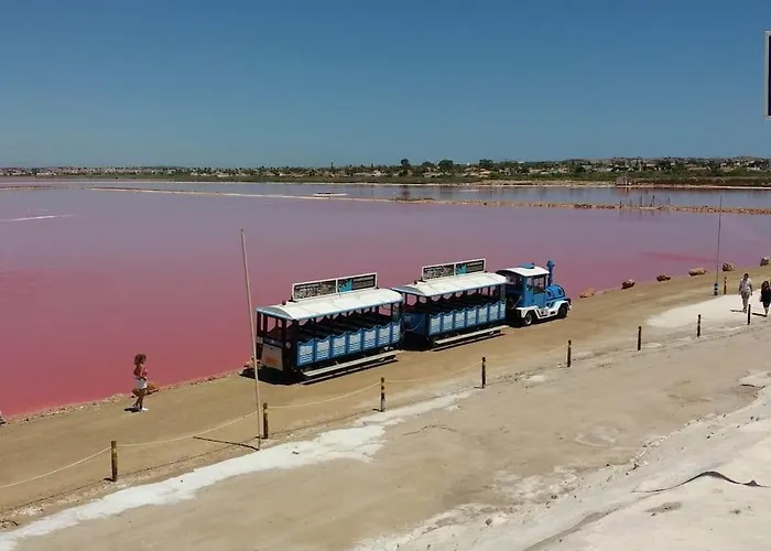 Appartamento Flamingo Torrevieja